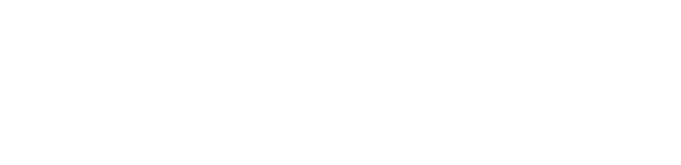 Noodles & Company logo