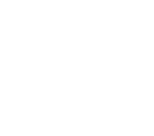 DIPRA logo
